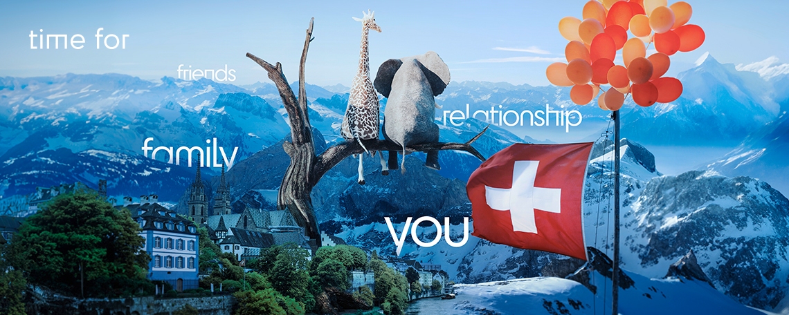 Technical Sales Consultant, 2. Bild